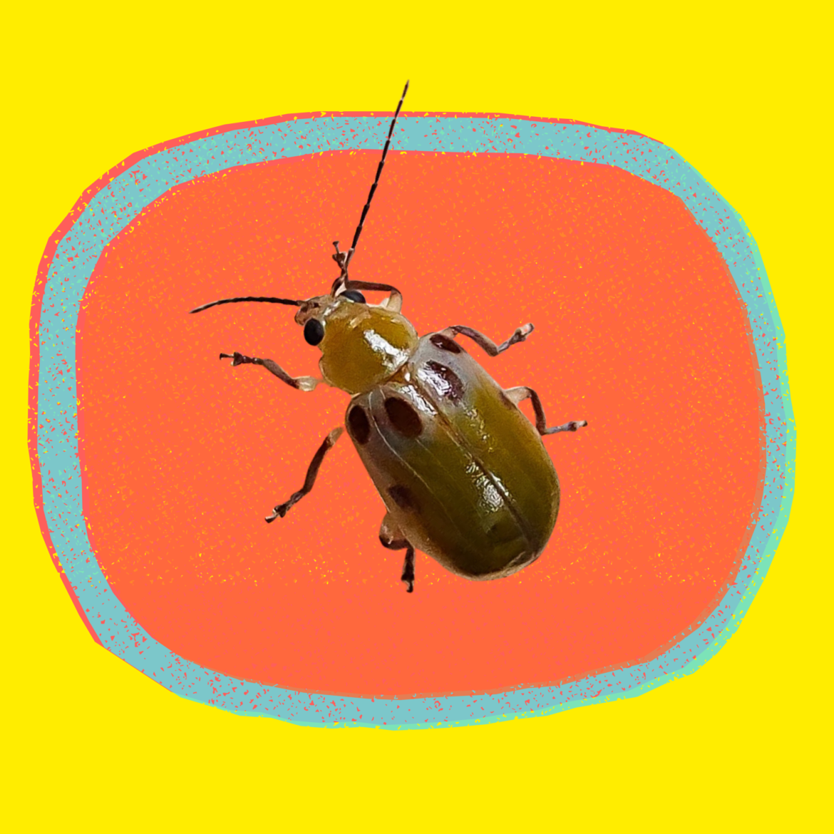 10 (2)